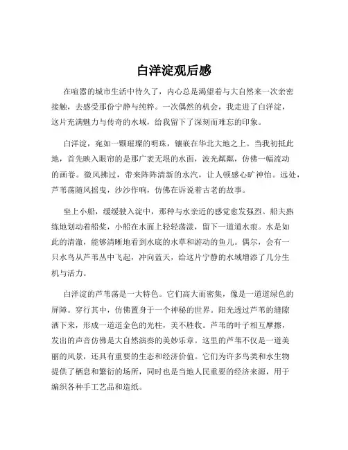 白洋淀观后感