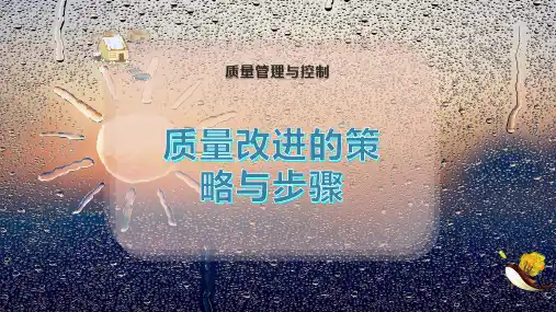 质量改进的策略与步骤