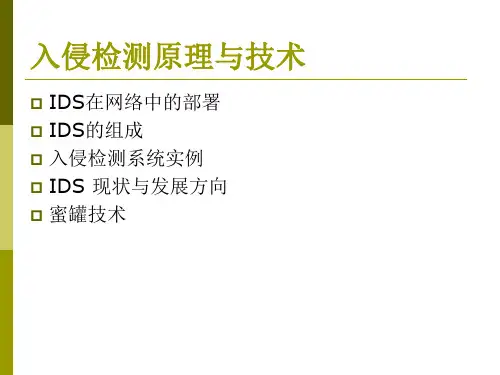 防火墙_入侵检测系统组成和实例ppt课件