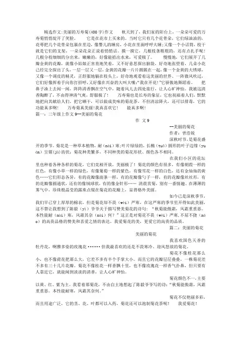 美丽的万寿菊(400字)作文