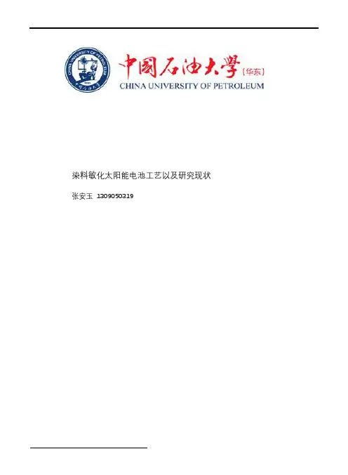 染料敏化太阳能电池工艺以及研究现状