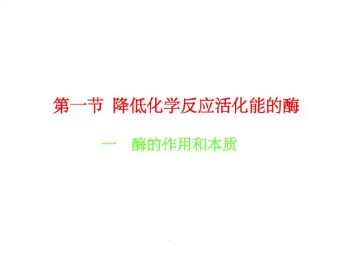 人教版高中生物必修一第五章完整53710