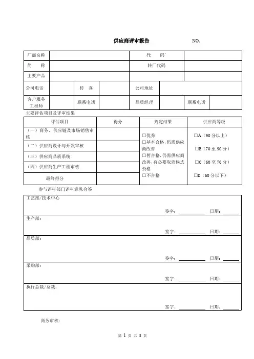 供应商评审报告