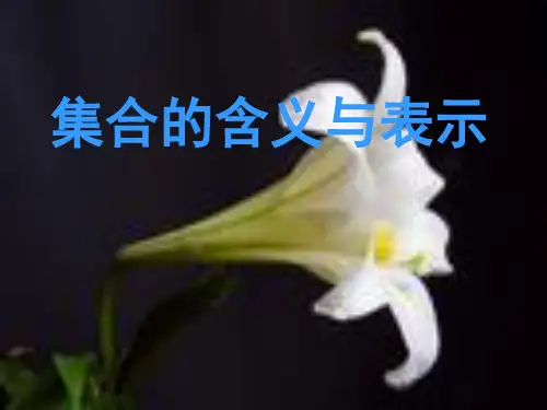 集合的含义与表示ppt 人教课标版