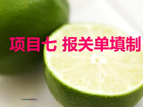 报关单填制培训课件