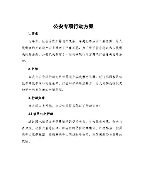 公安专项行动方案