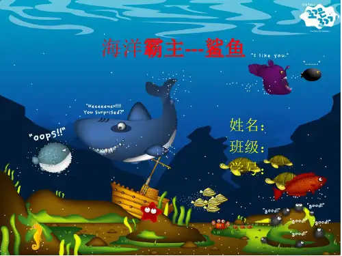 海洋霸主-鲨鱼