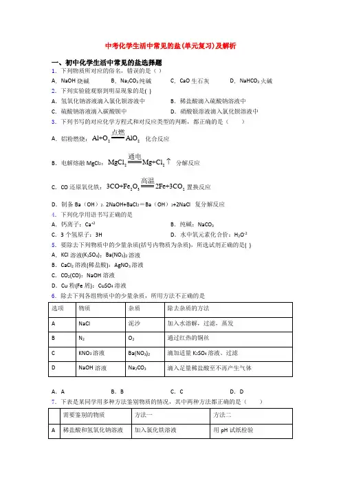 中考化学生活中常见的盐(单元复习)及解析
