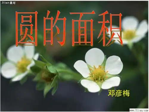 人教版小学数学六年级PPT课件