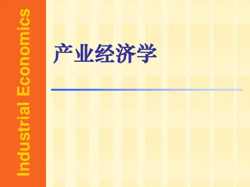 产业经济学讲解课件