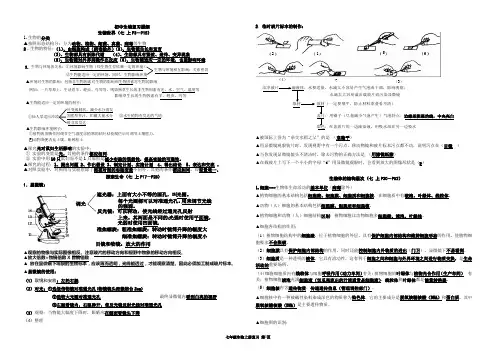 云南省初中学业水平考试 七年级生物上册 复习提纲 期末备考资料 知识点归纳