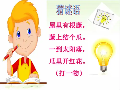 三年级下册科学-12让灯亮起来-冀教版-PPT课堂课件