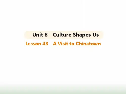 冀教版九年级英语Unit8 Lesson43 A Visit to Chinatown课件
