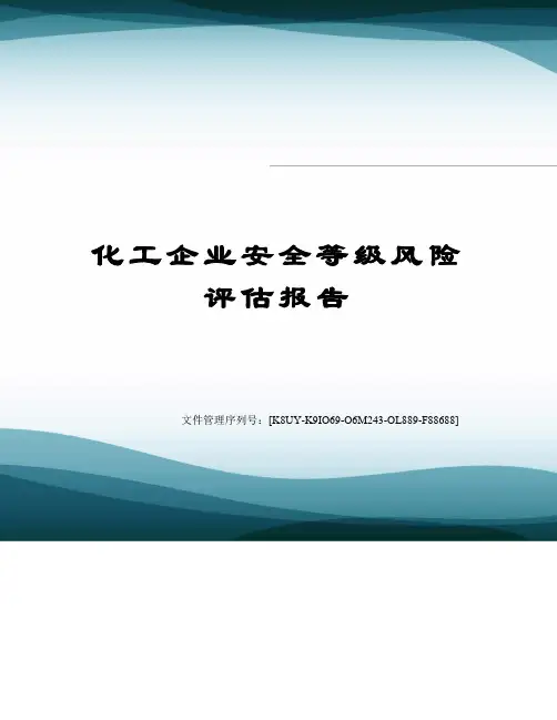 化工企业安全等级风险评估报告