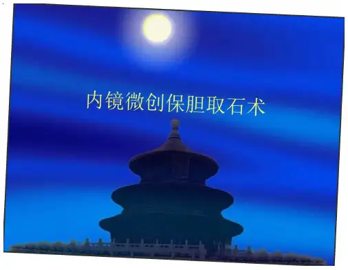 内镜微创保胆取石术