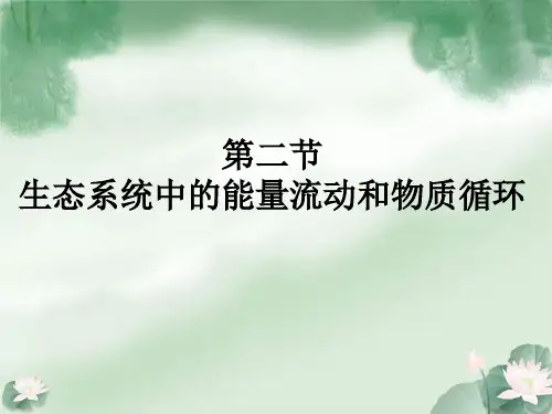 苏教版生物八年级上册第19章第2节生态系统中的能量流动和物质循环 课件