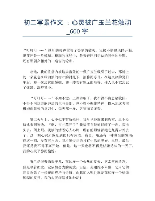 初二写景作文 ：心灵被广玉兰花触动_600字【初二精品作文】