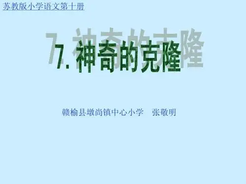 《神奇的克隆》PPT课件_张敬明