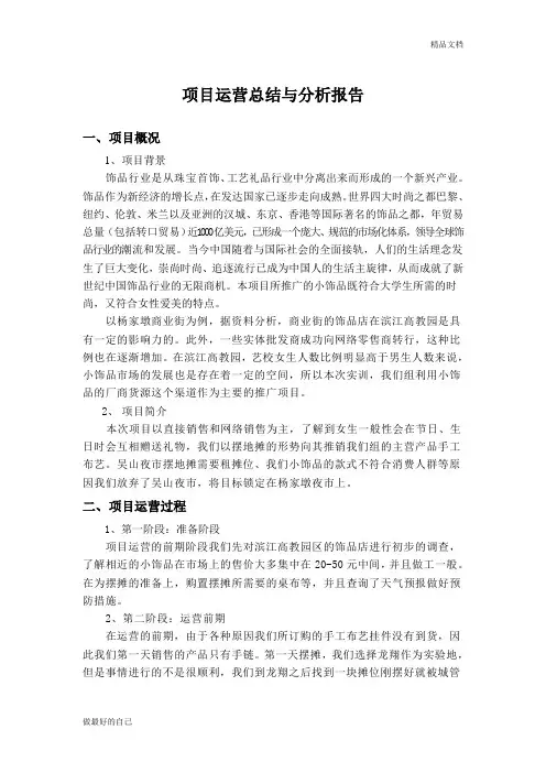 项目运营总结与分析报告
