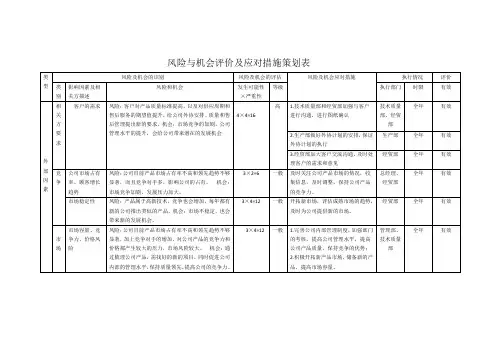 风险和机遇评估分析及应对措施1