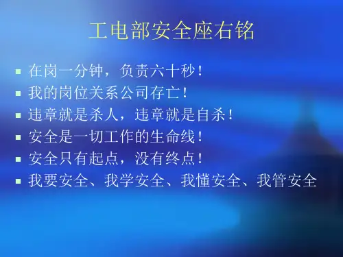 安全生产法讲座共54页PPT资料