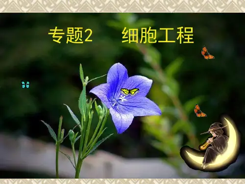 植物细胞工程的基本技术(课件好)