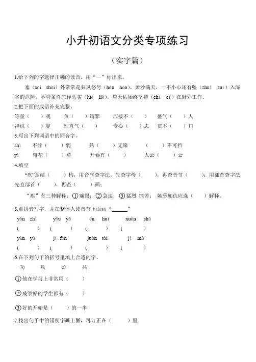 小升初语文分类专项练习(实字篇)