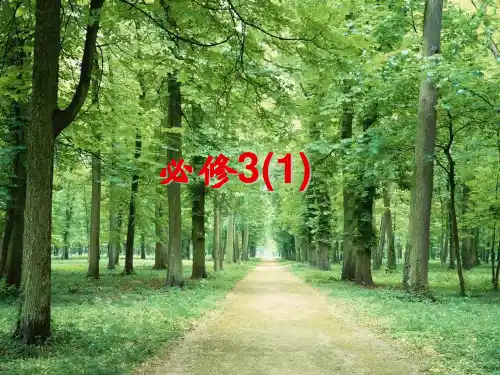 历史部编版必修三-“百家争鸣”和儒家思想的形成-教学课件PPT