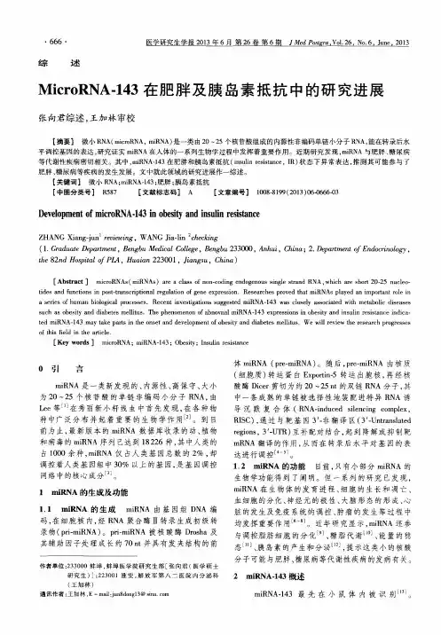 MicroRNA-143在肥胖及胰岛素抵抗中的研究进展