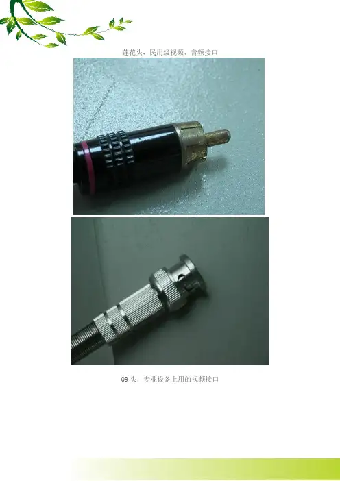 插头类型