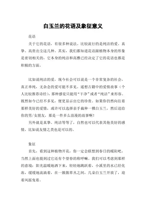 白玉兰的花语及象征意义