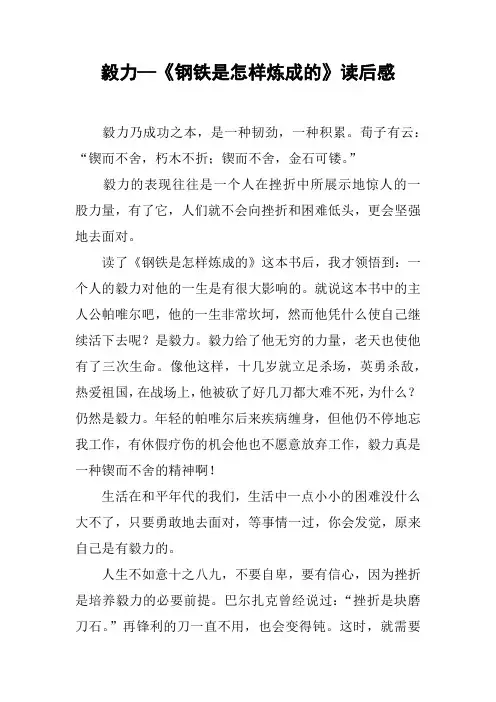 毅力—《钢铁是怎样炼成的》读后感