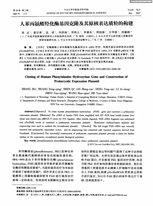 人苯丙氨酸羟化酶基因克隆及其原核表达质粒的构建