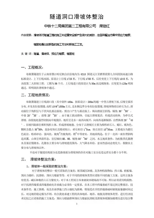 隧道洞口滑坡体整治