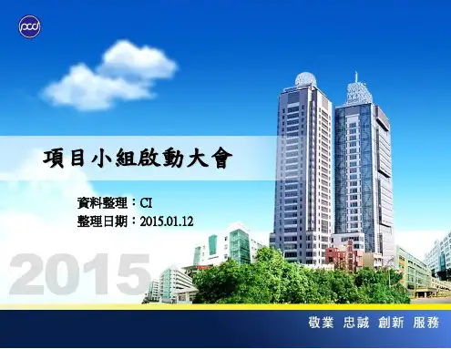 项目专案小组启动大会