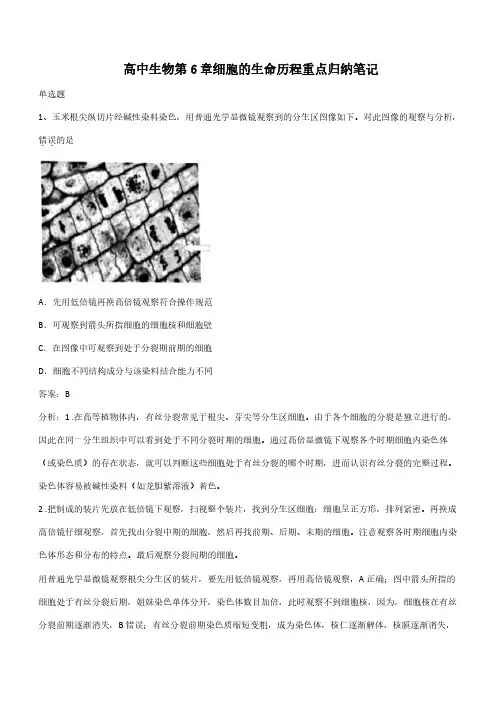 高中生物第6章细胞的生命历程重点归纳笔记(带答案)