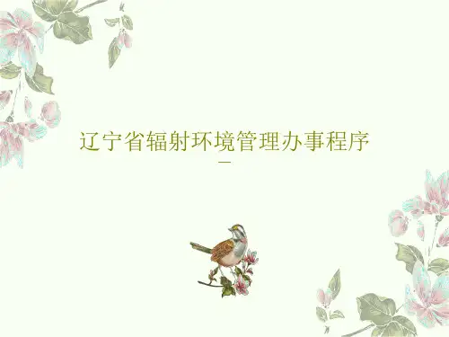辽宁省辐射环境管理办事程序共25页文档