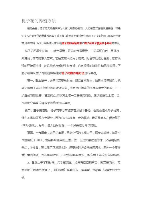 栀子花的养殖方法及注意事项