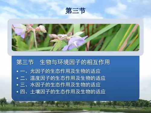 第二章+生物与环境第三节解析