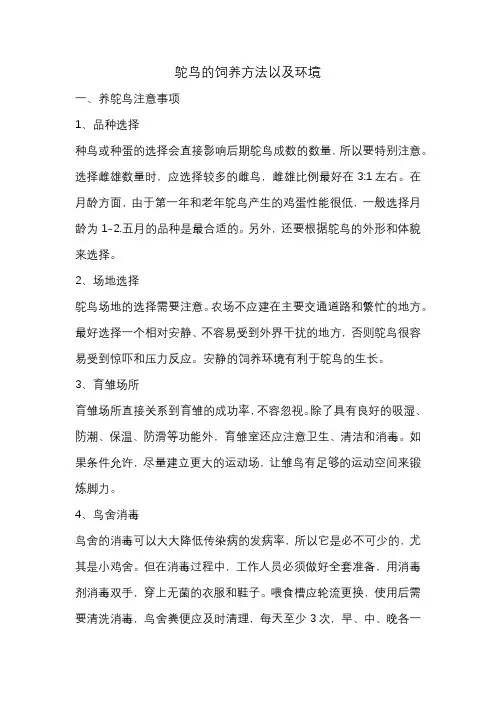 鸵鸟的饲养方法以及环境