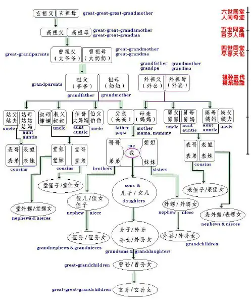 中英对照六世同堂家庭称谓