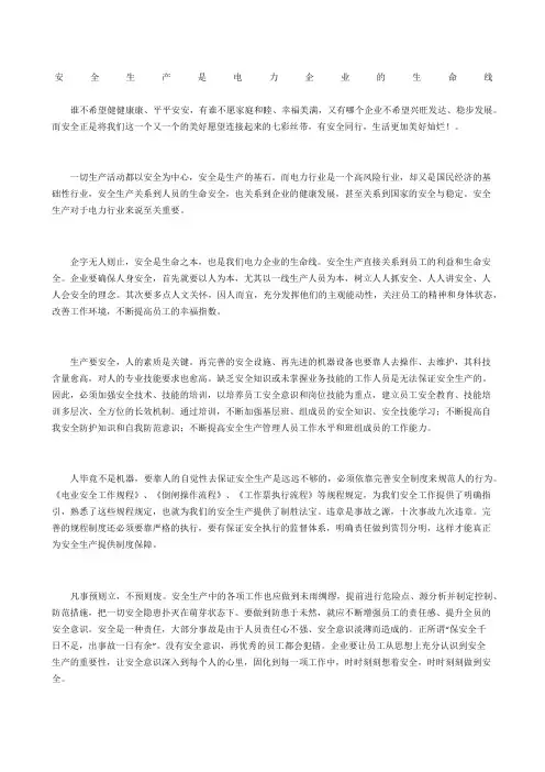 安全生产是电力企业的生命线