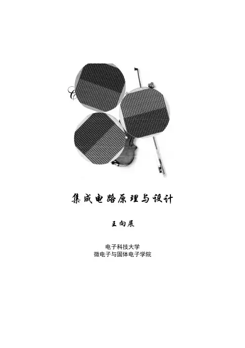 电子科技大学集成电路原理讲义