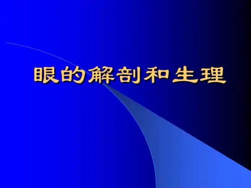眼的解剖与生理