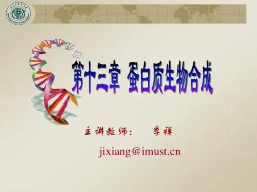 第十三章+蛋白质合成