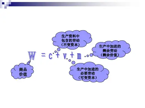 资本、劳动力和剩余价值