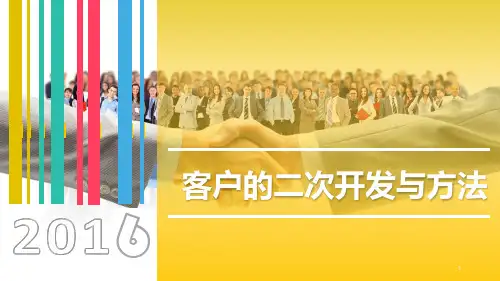 2016客户二开与方法 (1) (1)