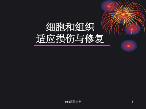 组织损伤与修复ppt课件