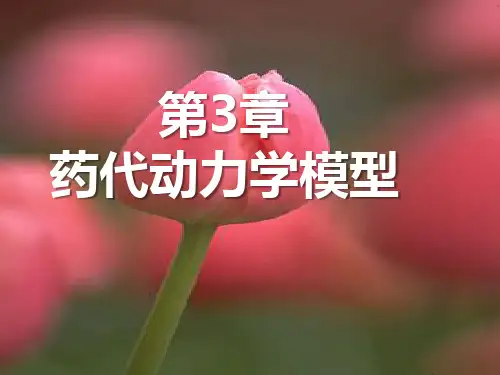 药代动力学模型ppt(38张)