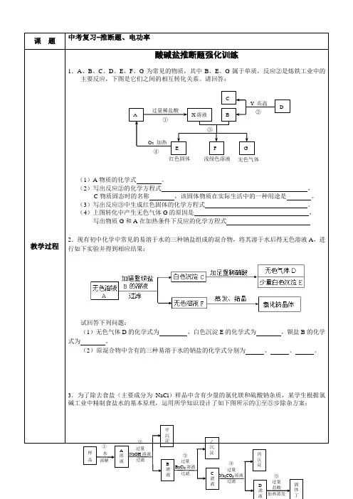 浙教版中考复习电功率以及推断题